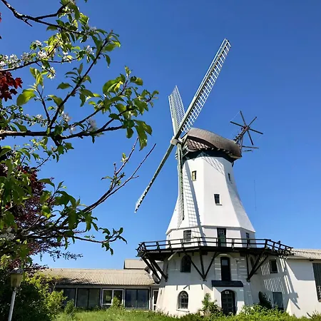 Apartment Nordlicht - Herzliche 1-zimmer Mit Meerblickbalkon Westerholz